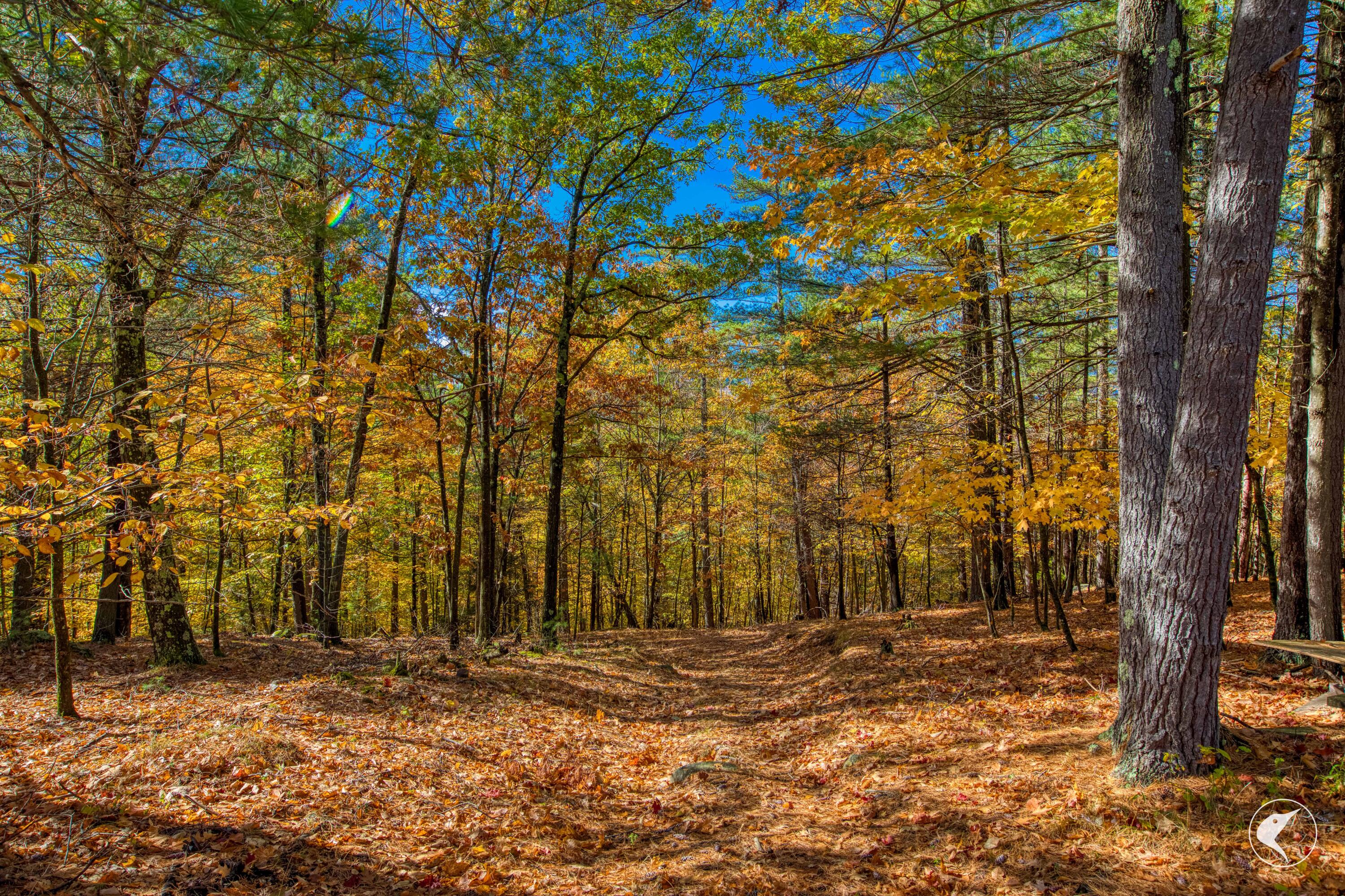 140 Fox Run Road Elizabethtown NY 12932