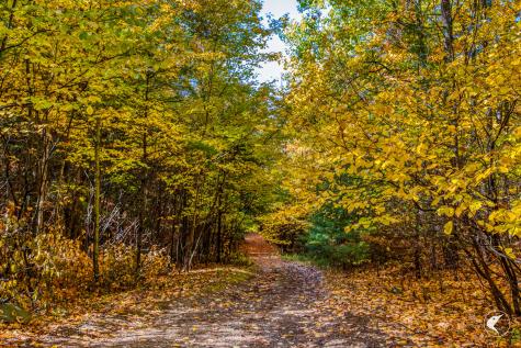 140 Fox Run Road Elizabethtown NY 12932