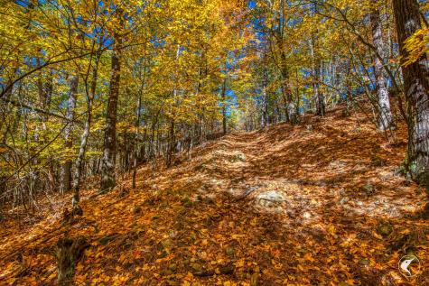 140 Fox Run Road Elizabethtown NY 12932