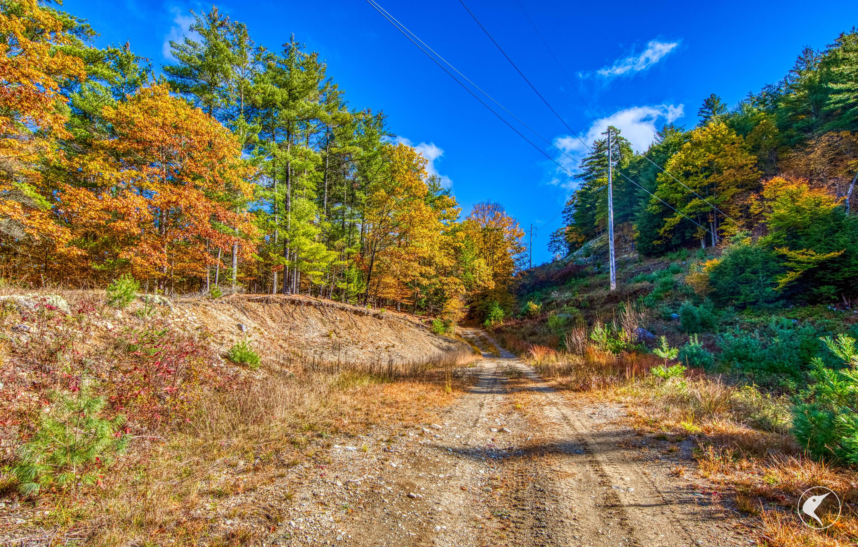 140 Fox Run Road Elizabethtown NY 12932