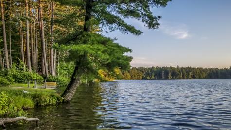 5 Station Road Saranac Lake NY 12983