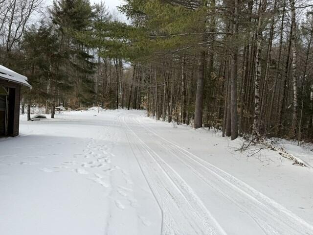 29 Brookside Way Lewis NY 12950