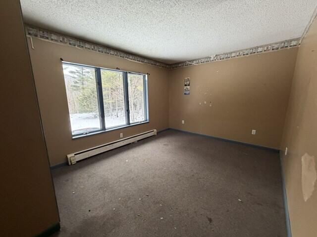 29 Brookside Way Lewis NY 12950