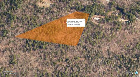 29 Brookside Way Lewis NY 12950