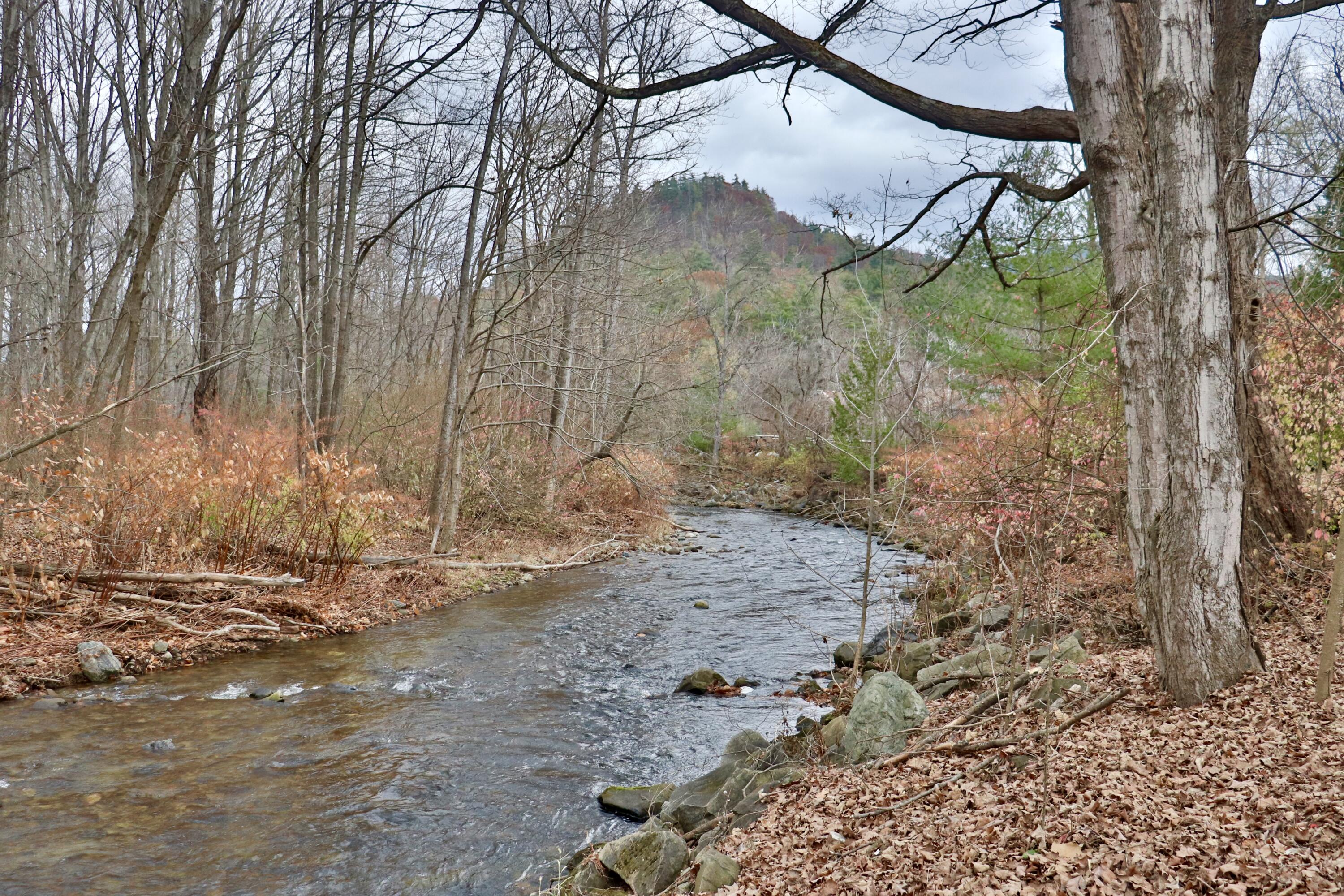 8250 River Street Elizabethtown NY 12932