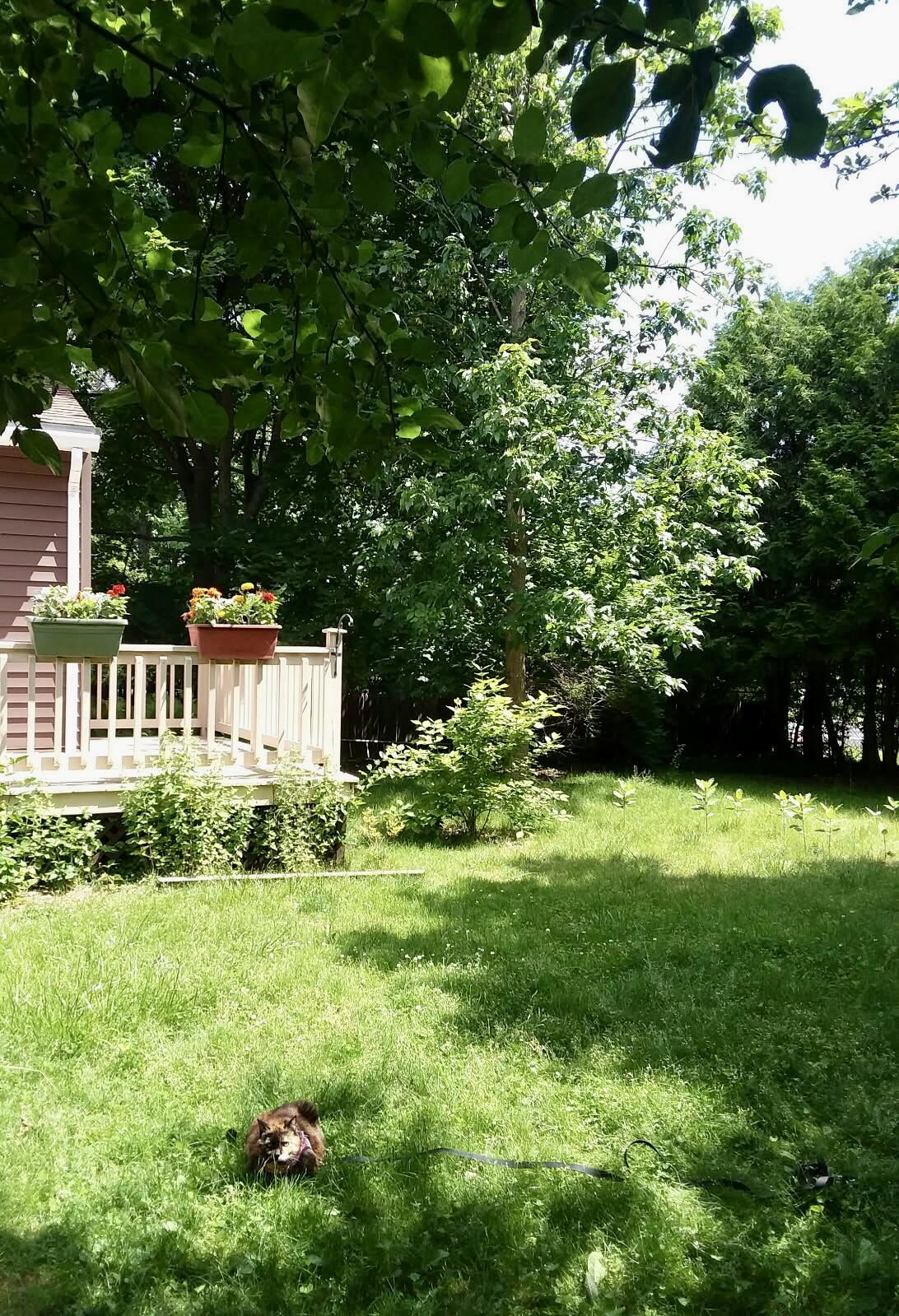 2 Stratford Road Plattsburgh NY 12901