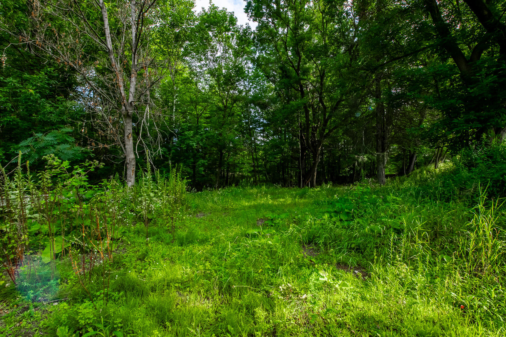 6025 New York 86 Wilmington NY 12997