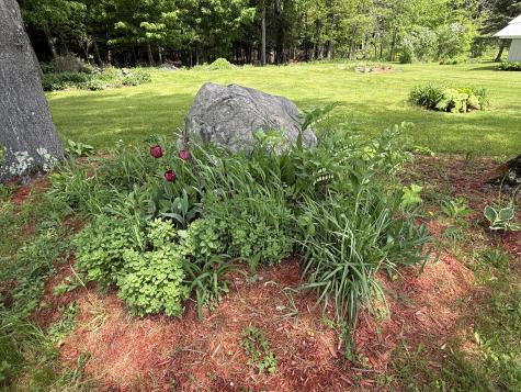 1168 Miner Farm Road Chazy NY 12921