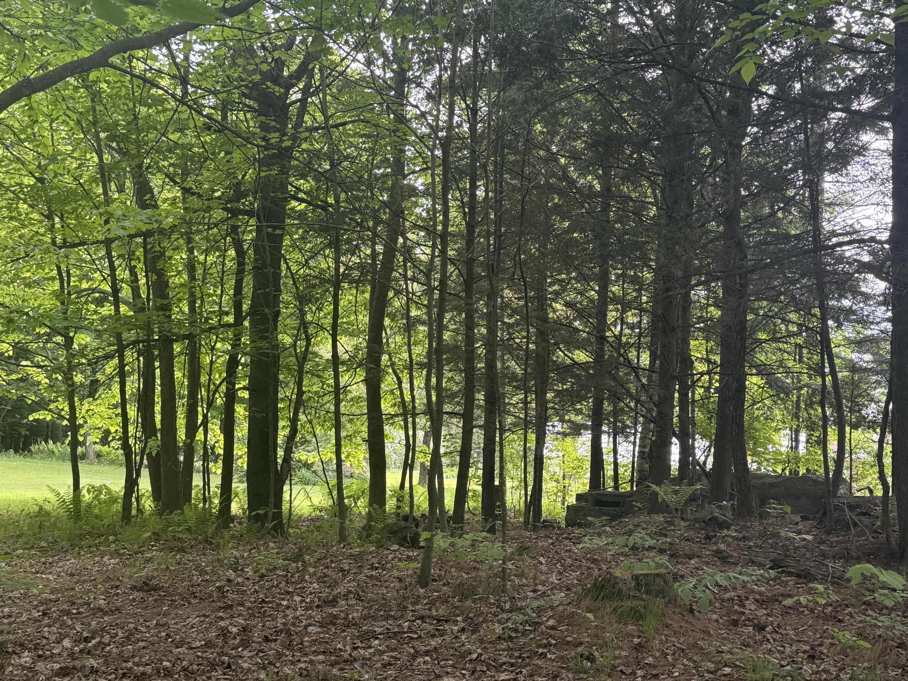 1168 Miner Farm Road Chazy NY 12921