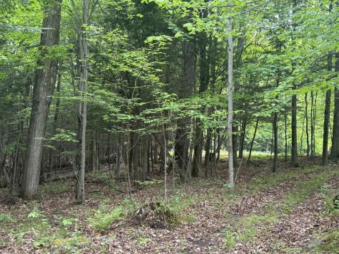 1168 Miner Farm Road Chazy NY 12921