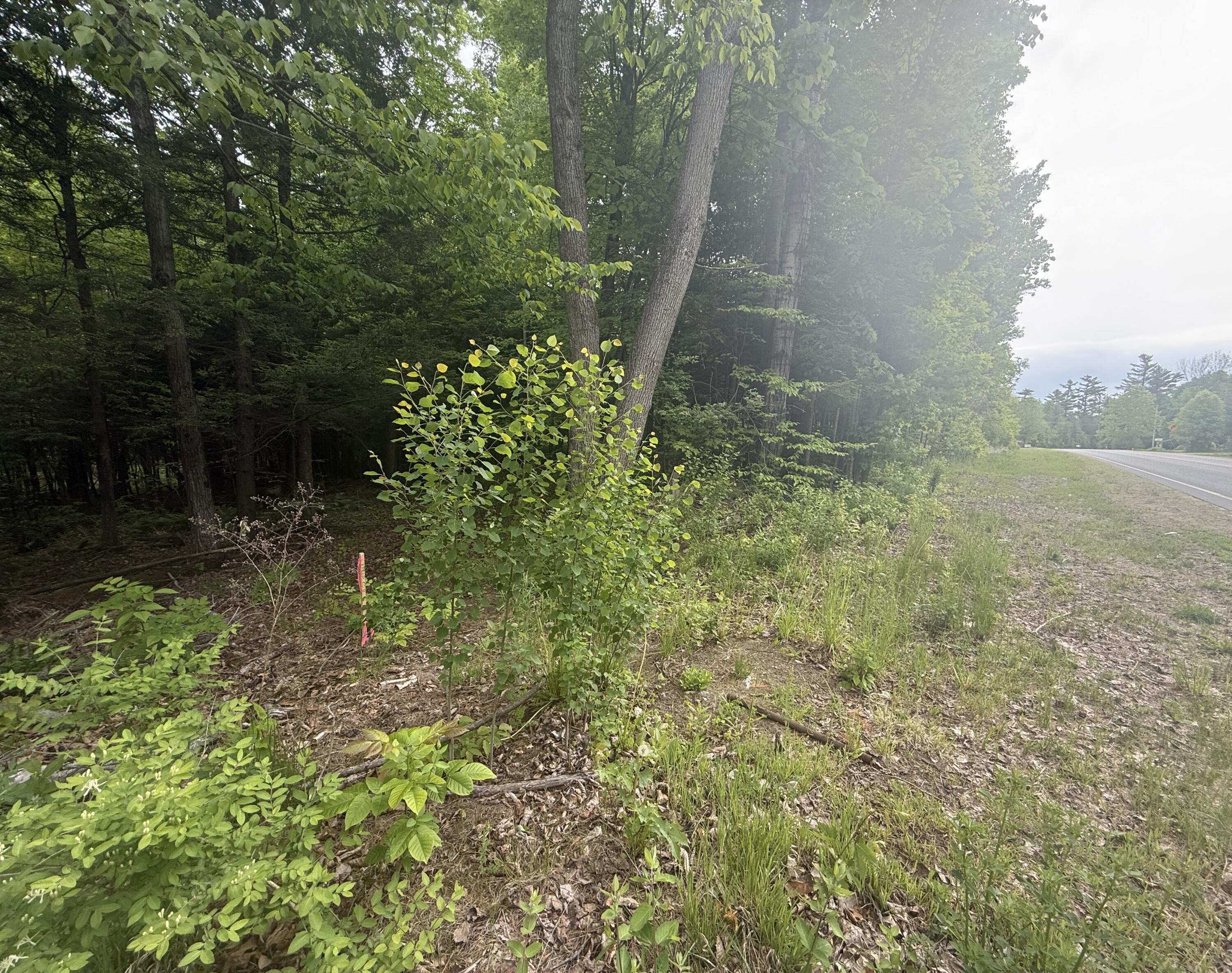 1168 Miner Farm Road Chazy NY 12921