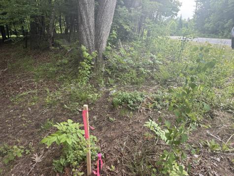 1168 Miner Farm Road Chazy NY 12921