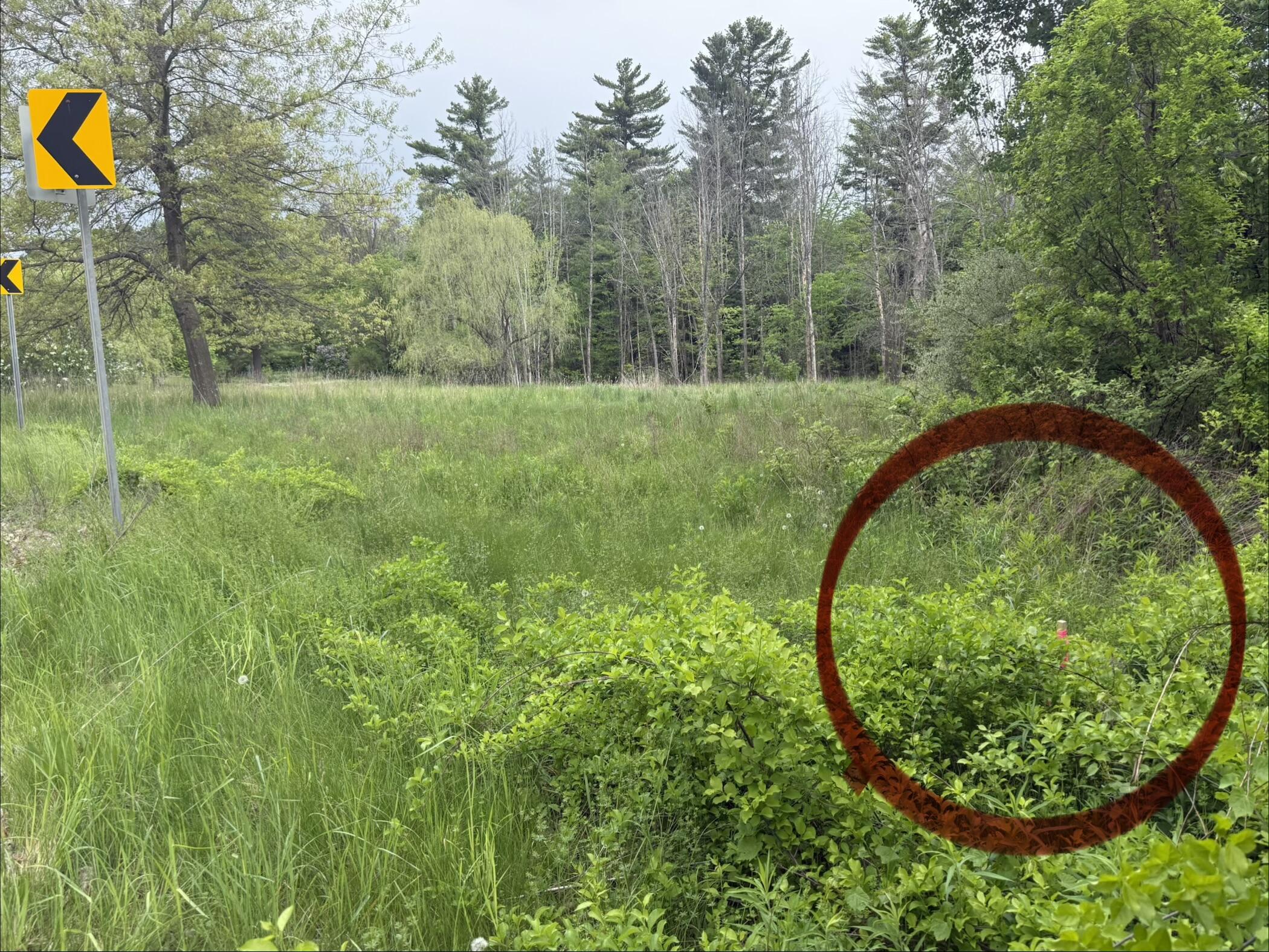 1168 Miner Farm Road Chazy NY 12921