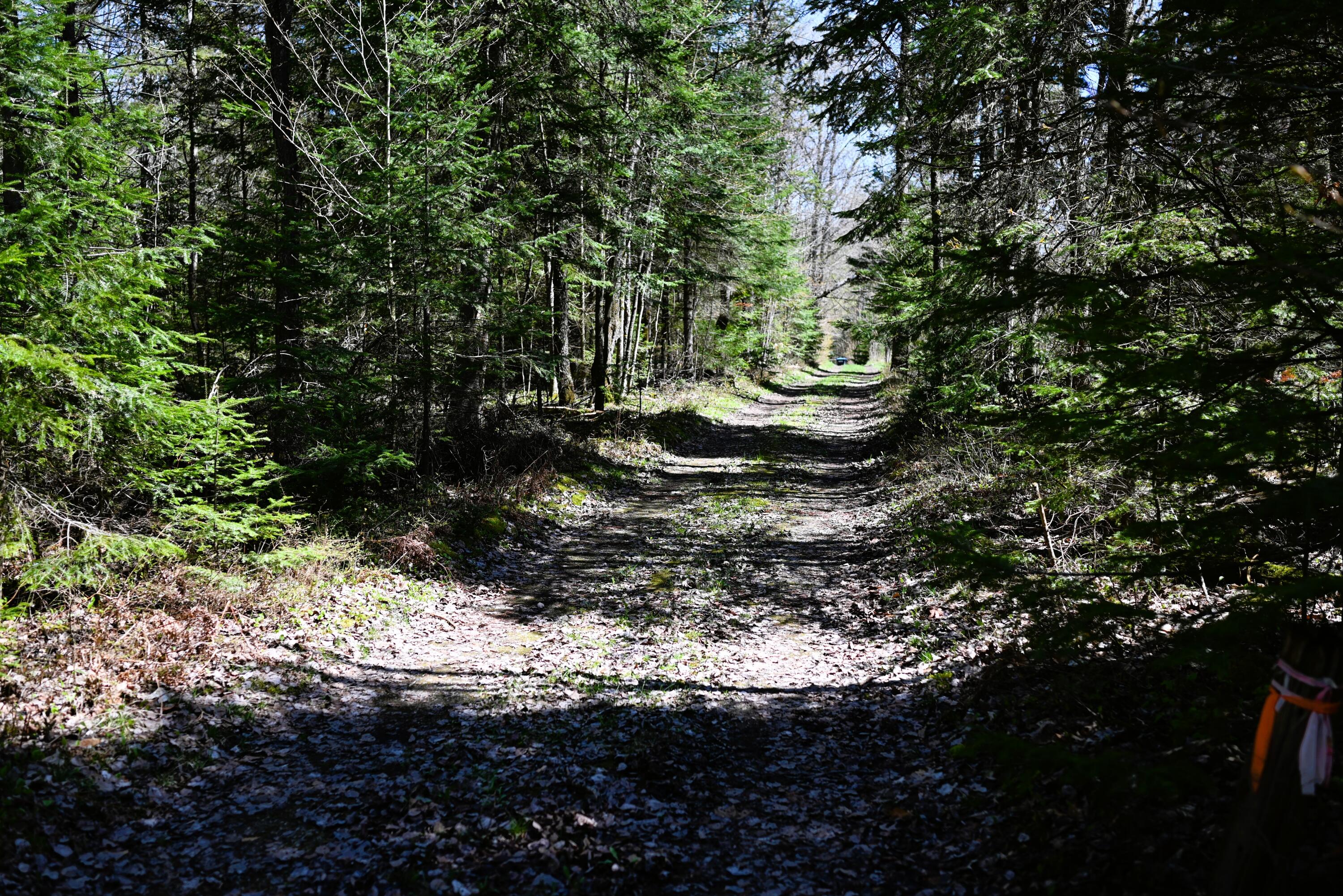 98 West Side Road Owls Head NY 12969