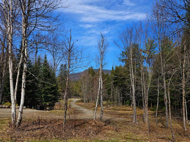 8330 State Route 3 Vermontville NY 12989