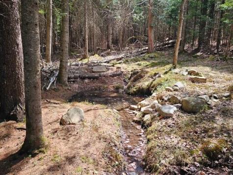 8330 State Route 3 Vermontville NY 12989