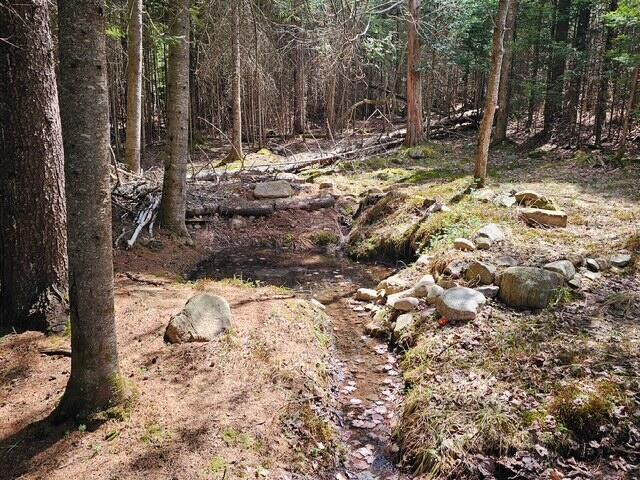 8330 State Route 3 Vermontville NY 12989