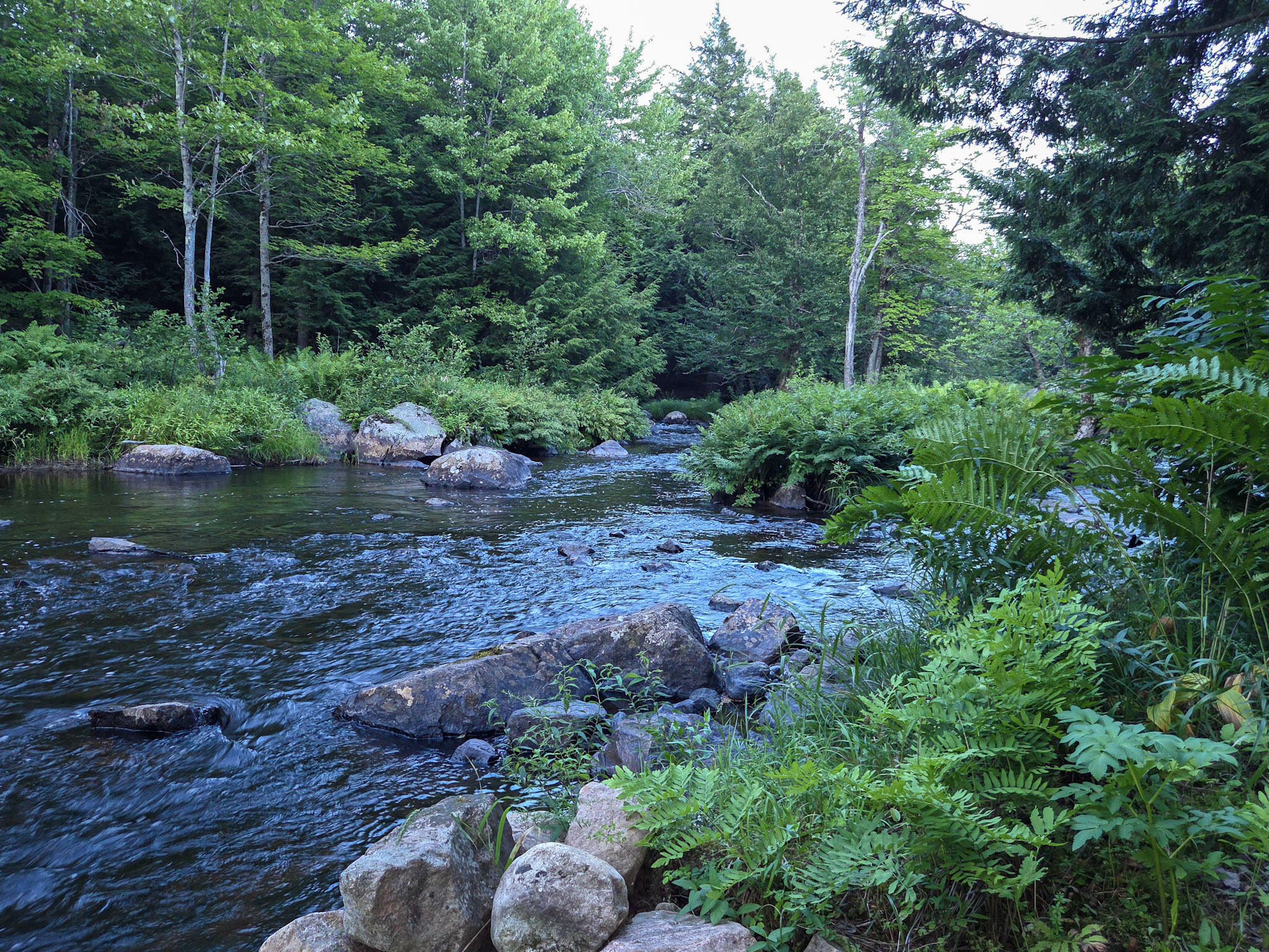 405-3 Church Street Dickinson Center NY 12930