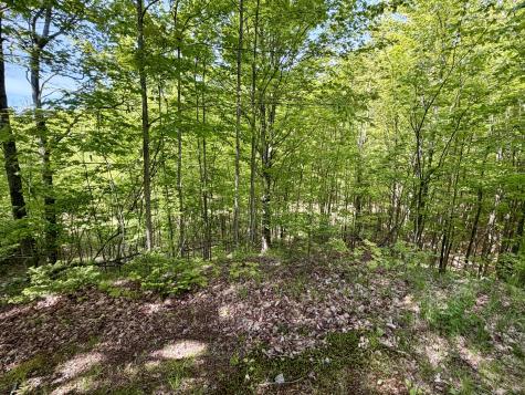 345 Brown Benoit Road Owls Head NY 12969