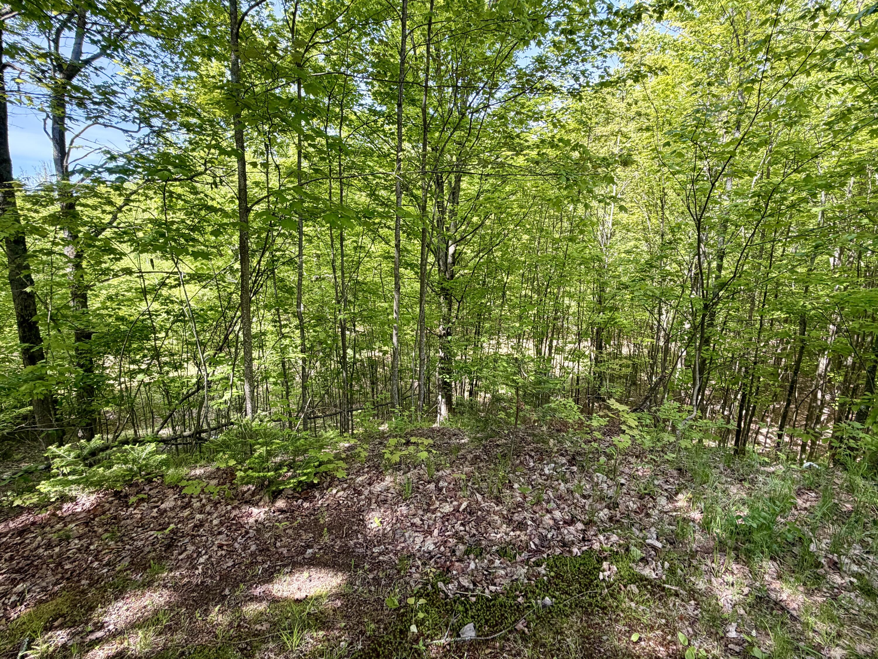 345 Brown Benoit Road Owls Head NY 12969