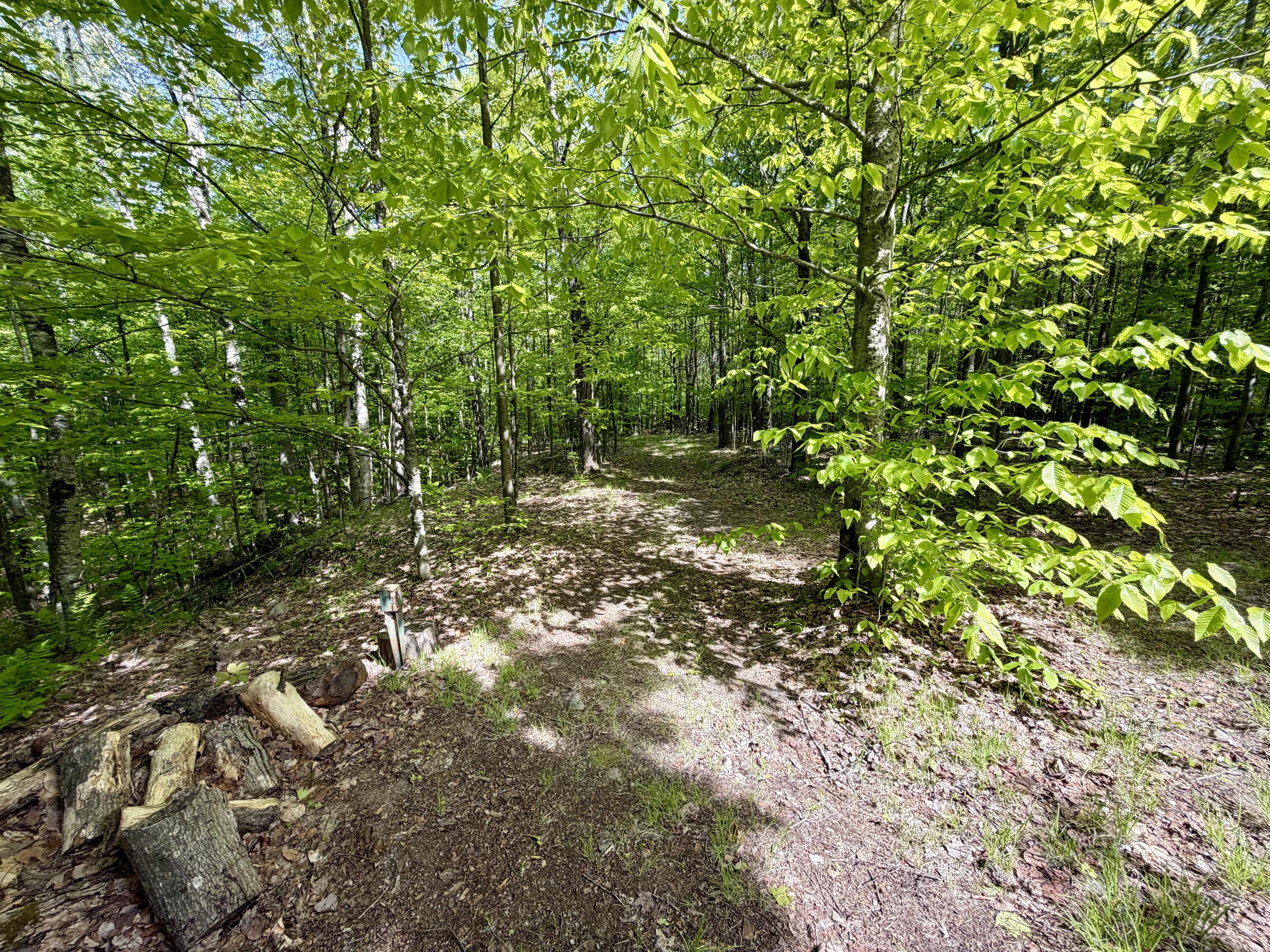 345 Brown Benoit Road Owls Head NY 12969