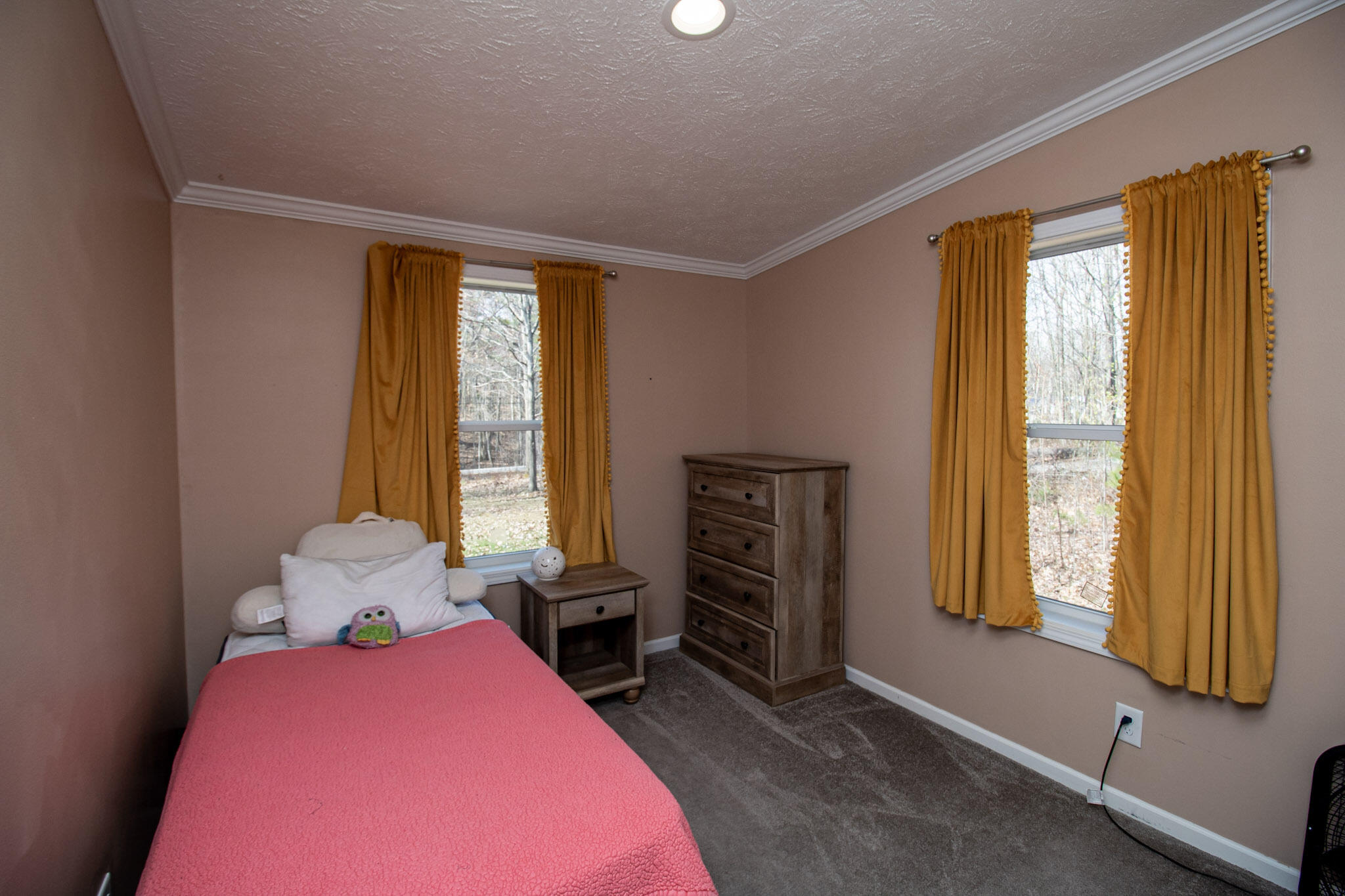 156 Trudeau Road Cadyville NY 12918
