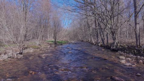 62 Chambers Road Burke NY 12917