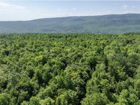 144 Strackville Road Peru NY 12972