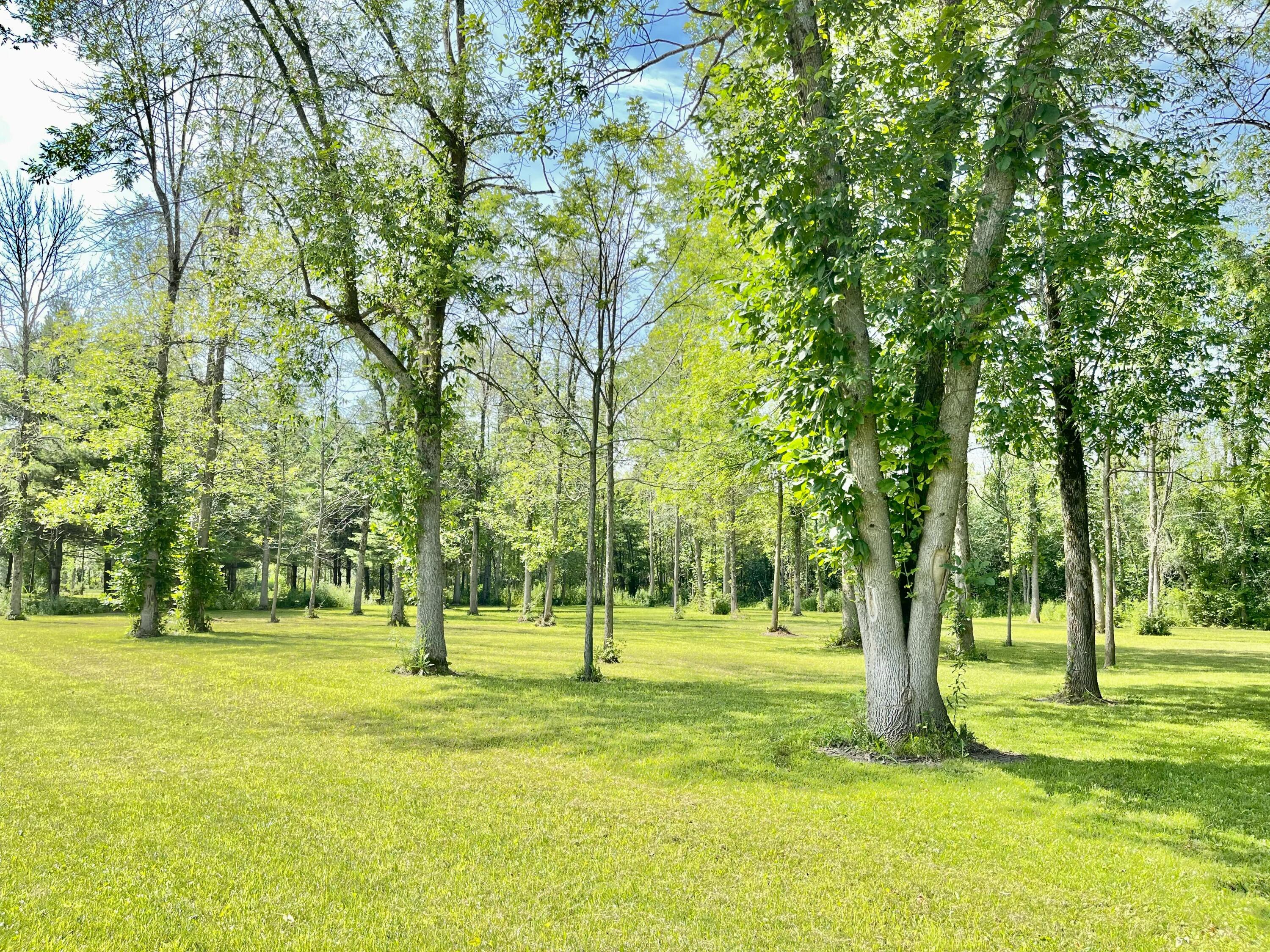 1473 Cumberland Head Road Plattsburgh NY 12901