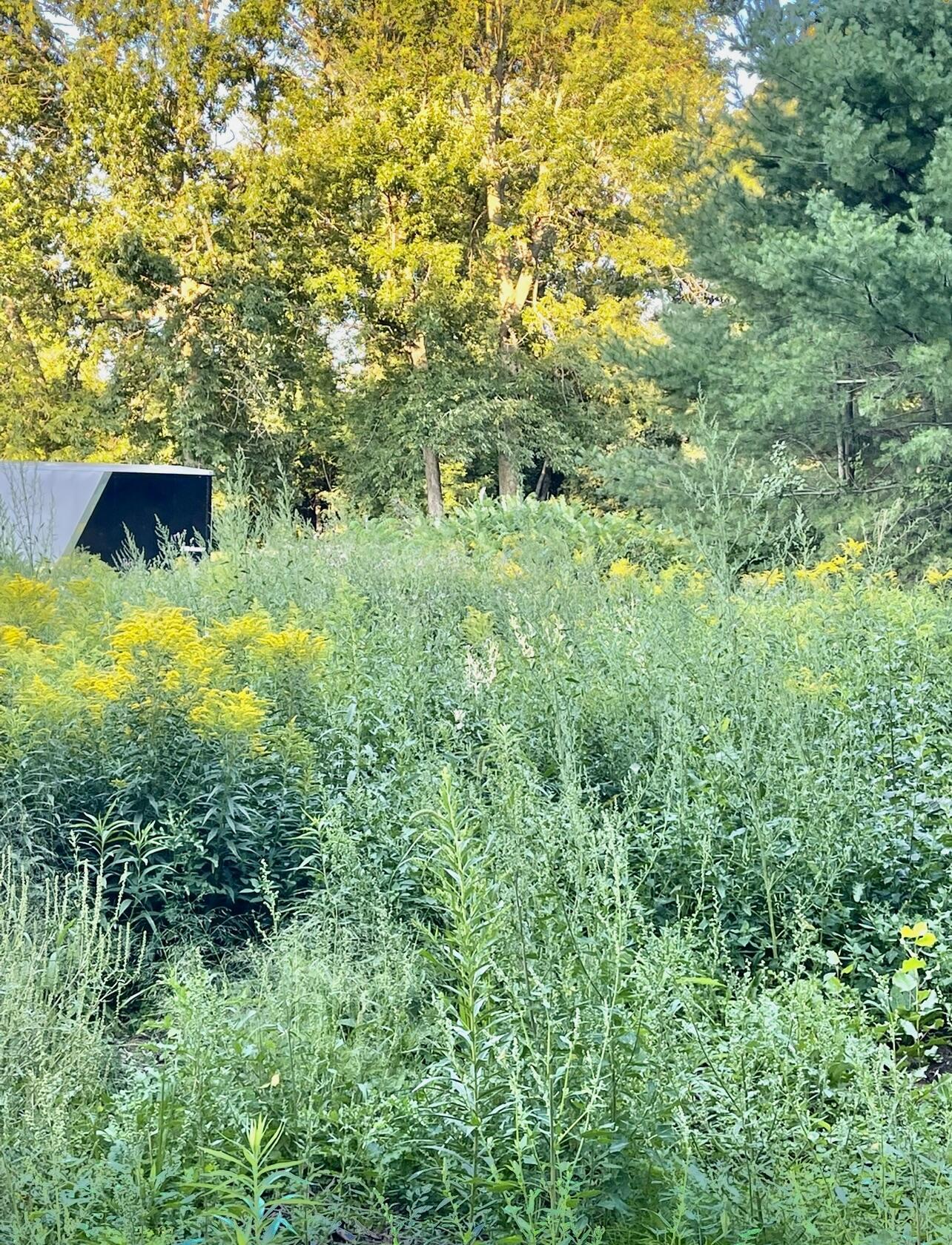 1473 Cumberland Head Road Plattsburgh NY 12901