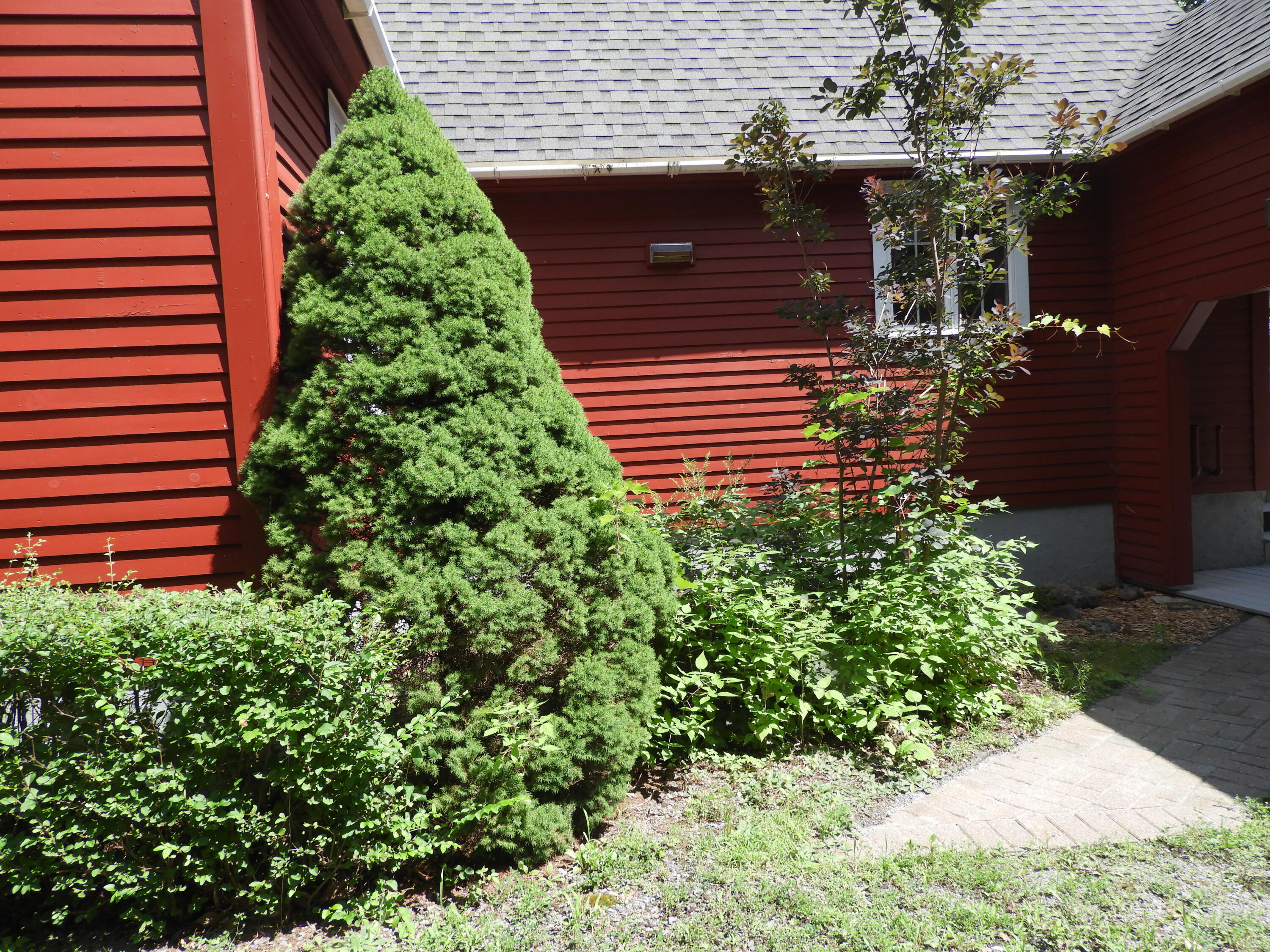 33 Alfreda Court Morrisonville NY 12962