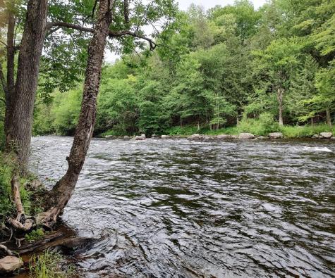 3542 Silver Lake Road Saranac NY 12981