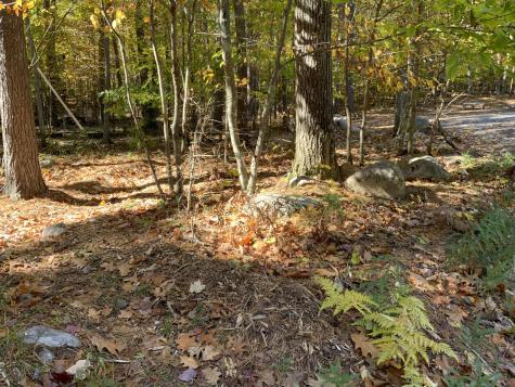 93 Beech Street Jay NY 12941