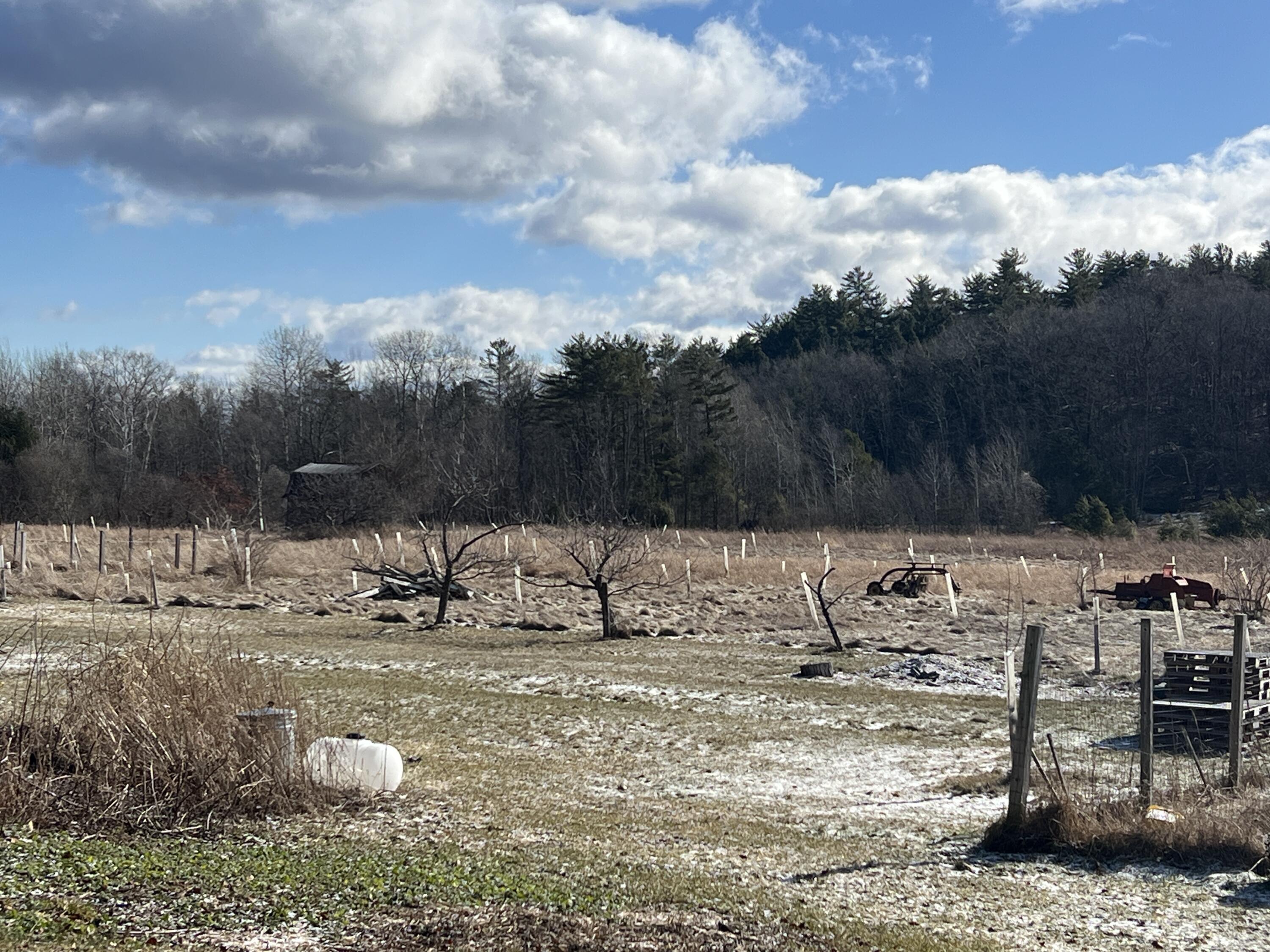 56 Elk Inn Road Port Henry NY 12974