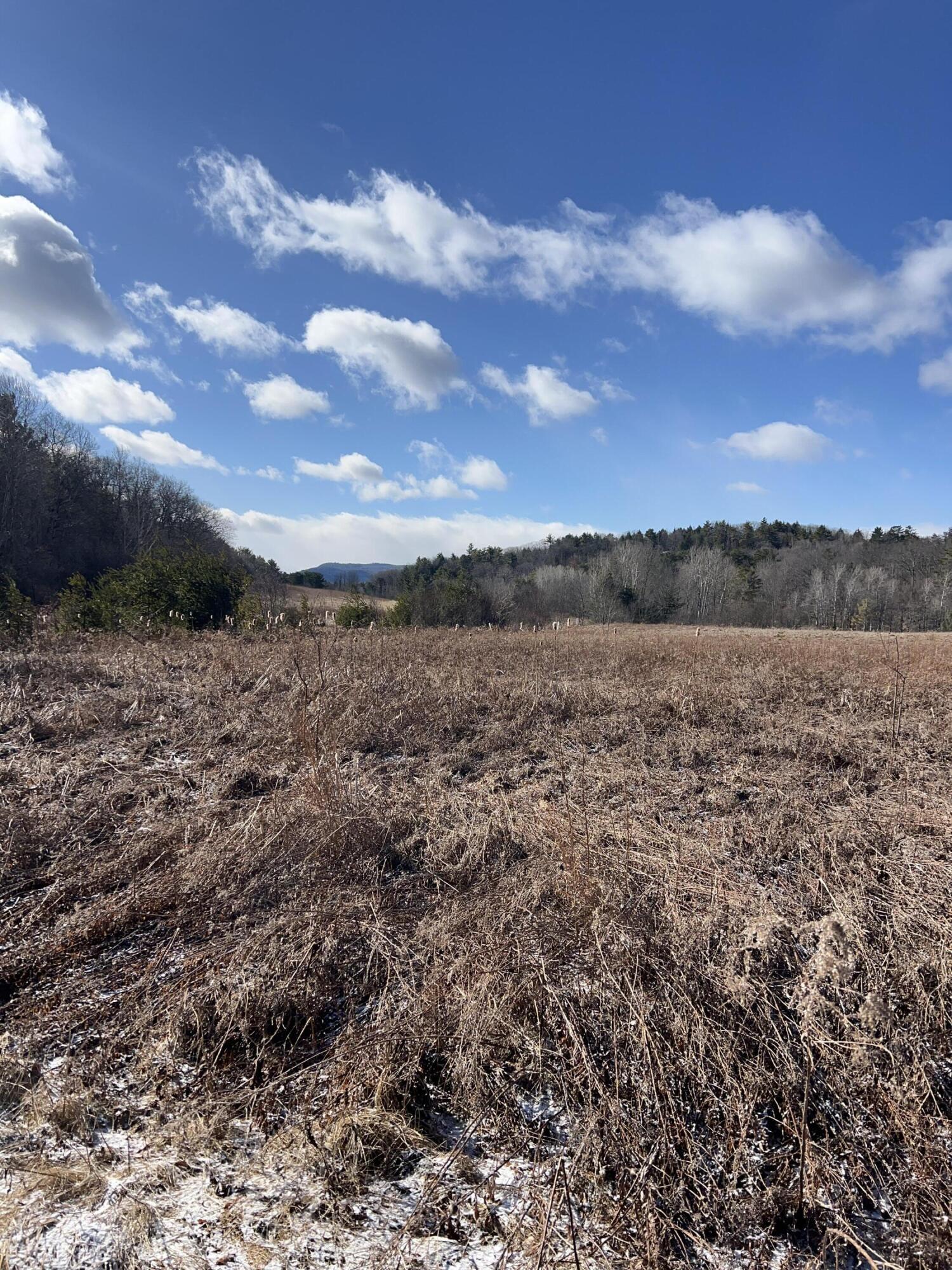 56 Elk Inn Road Port Henry NY 12974