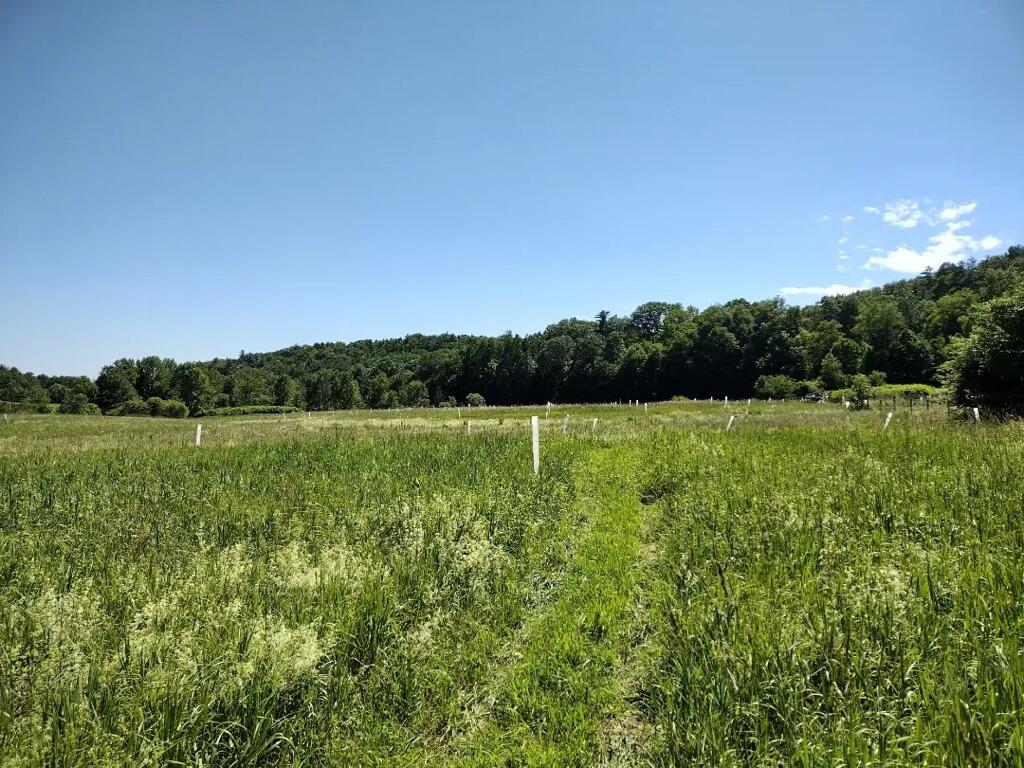 56 Elk Inn Road Port Henry NY 12974