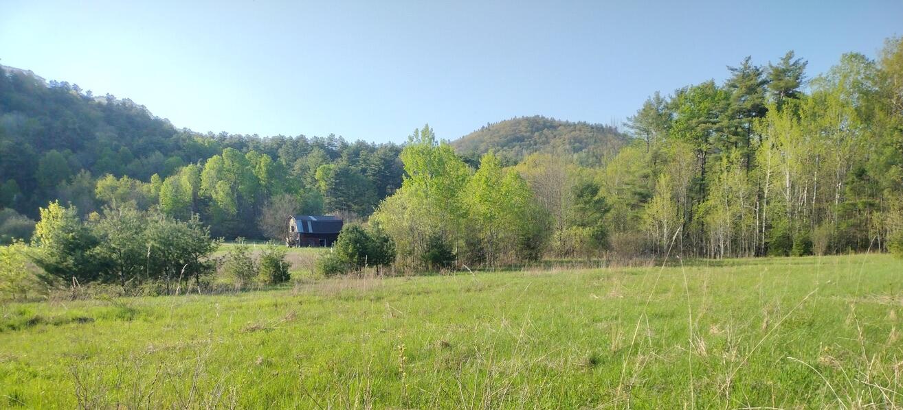 56 Elk Inn Road Port Henry NY 12974