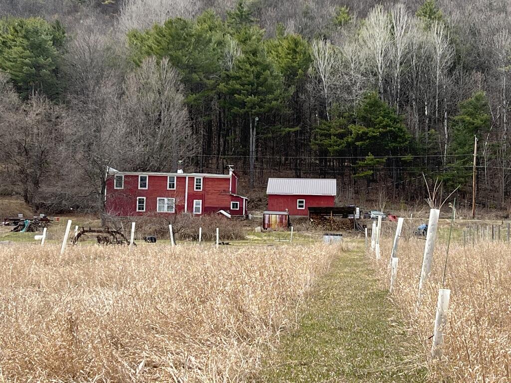 56 Elk Inn Road Port Henry NY 12974