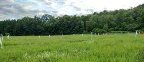 56 Elk Inn Road Port Henry NY 12974