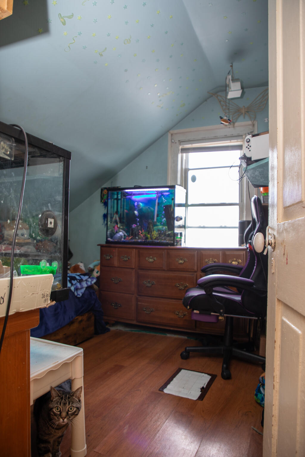 135 Prospect Avenue Plattsburgh NY 12901