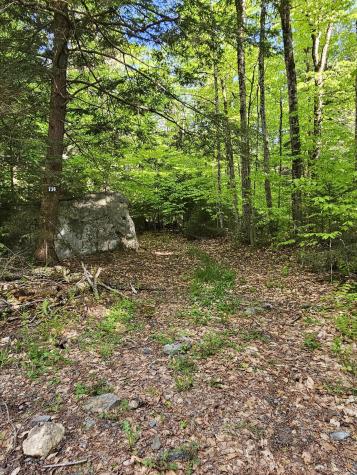 736 Bartlett Carry Road Saranac Lake NY 12983