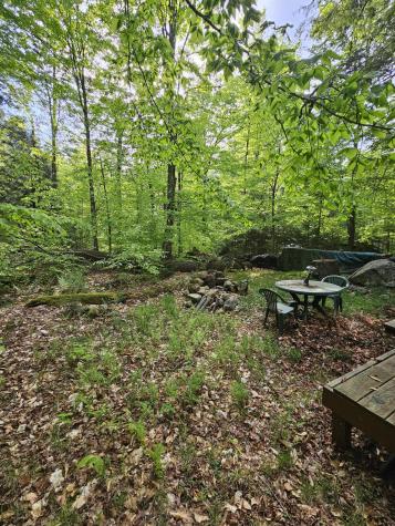 736 Bartlett Carry Road Saranac Lake NY 12983