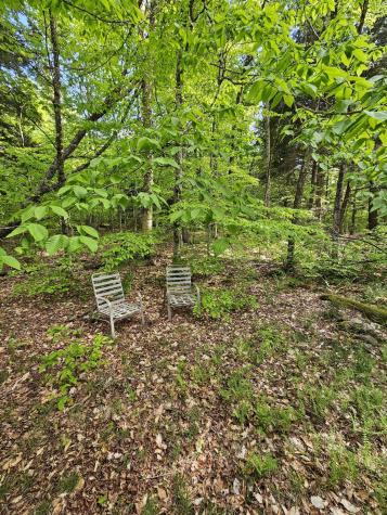 736 Bartlett Carry Road Saranac Lake NY 12983