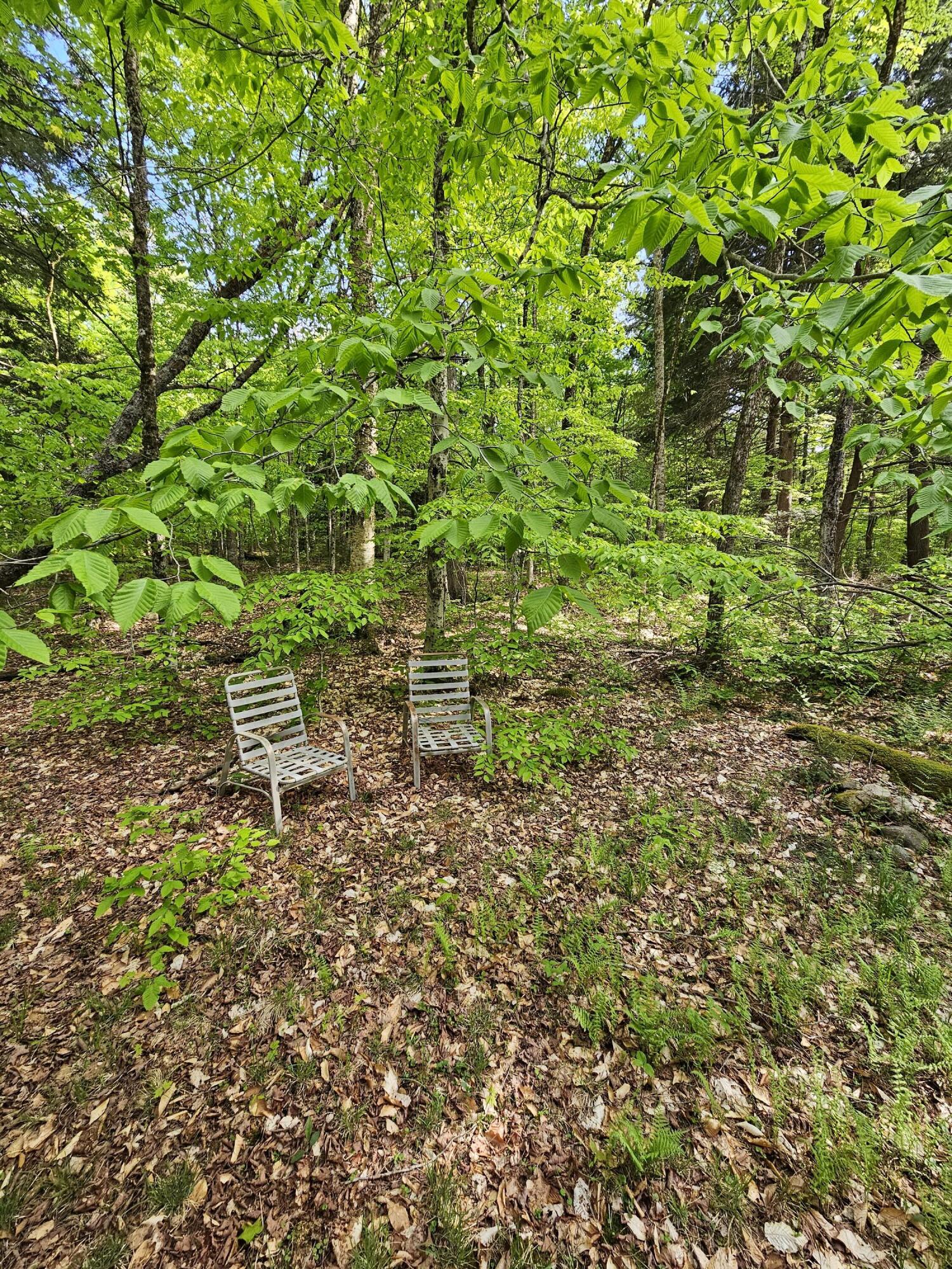 736 Bartlett Carry Road Saranac Lake NY 12983