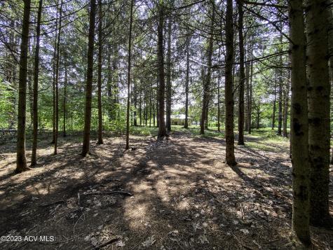 1694 Hardscrabble Road Saranac NY 12991