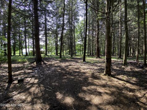 1694 Hardscrabble Road Saranac NY 12991