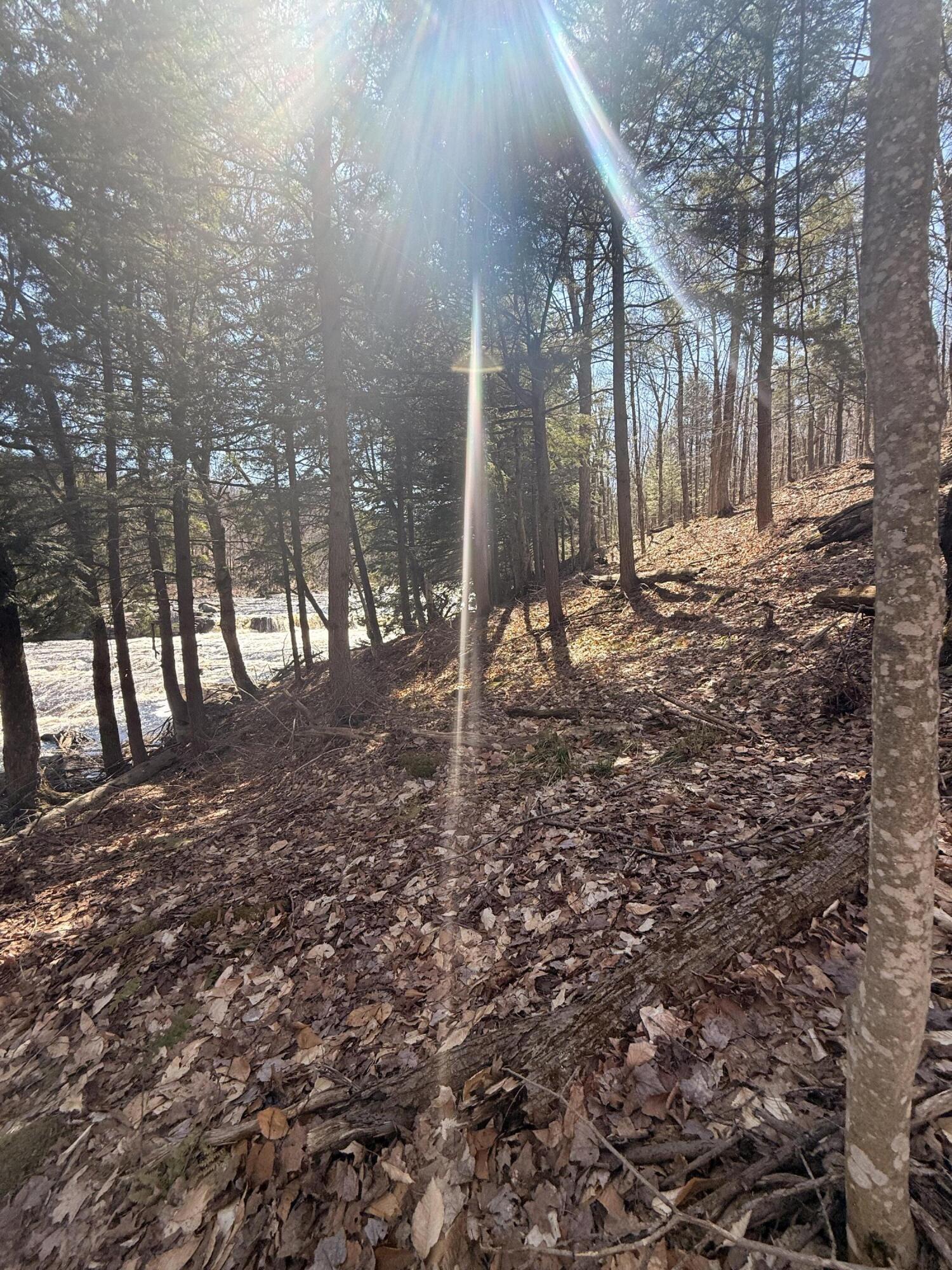 58 Hewitt Road St. Regis Falls NY 12980