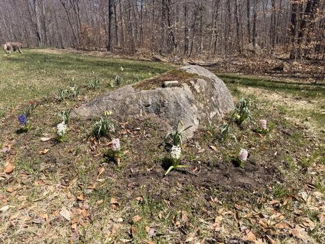58 Hewitt Road St. Regis Falls NY 12980