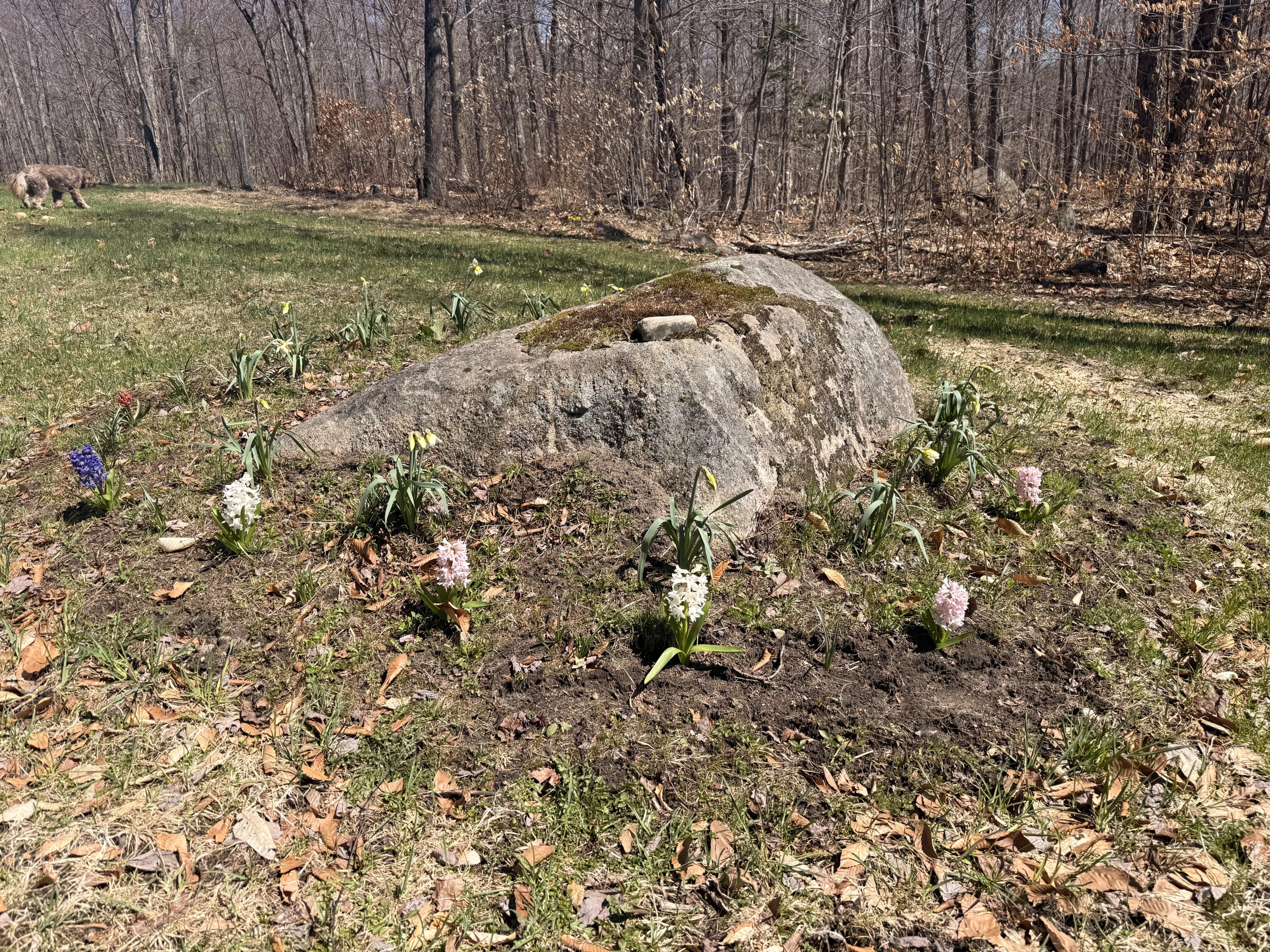 58 Hewitt Road St. Regis Falls NY 12980
