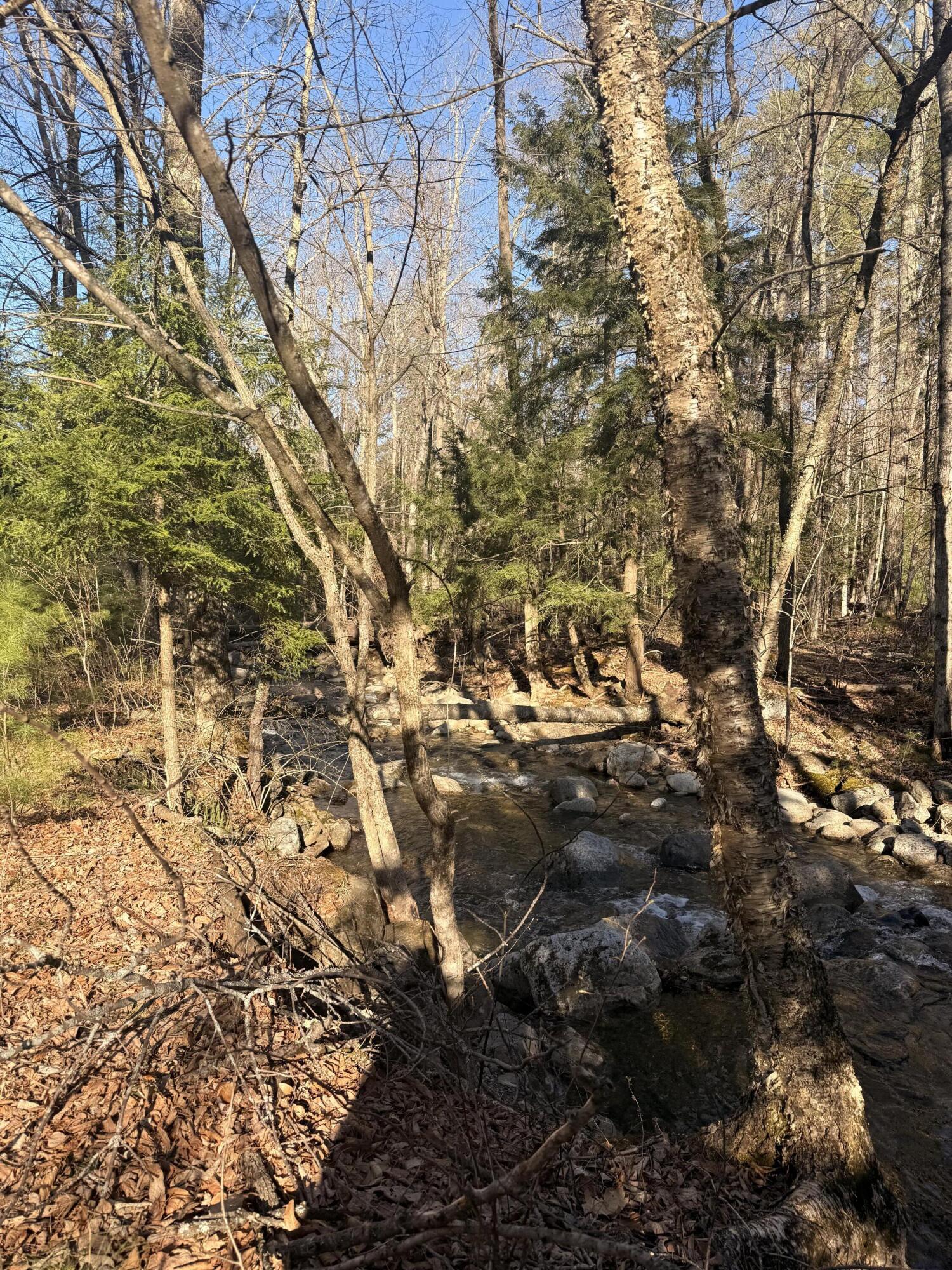 58 Hewitt Road St. Regis Falls NY 12980